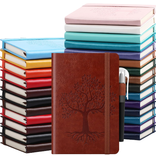 Journals (1)