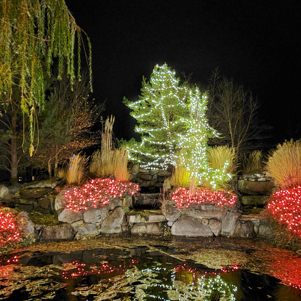 Christmas lights reflecting in a pond in Boise Idaho