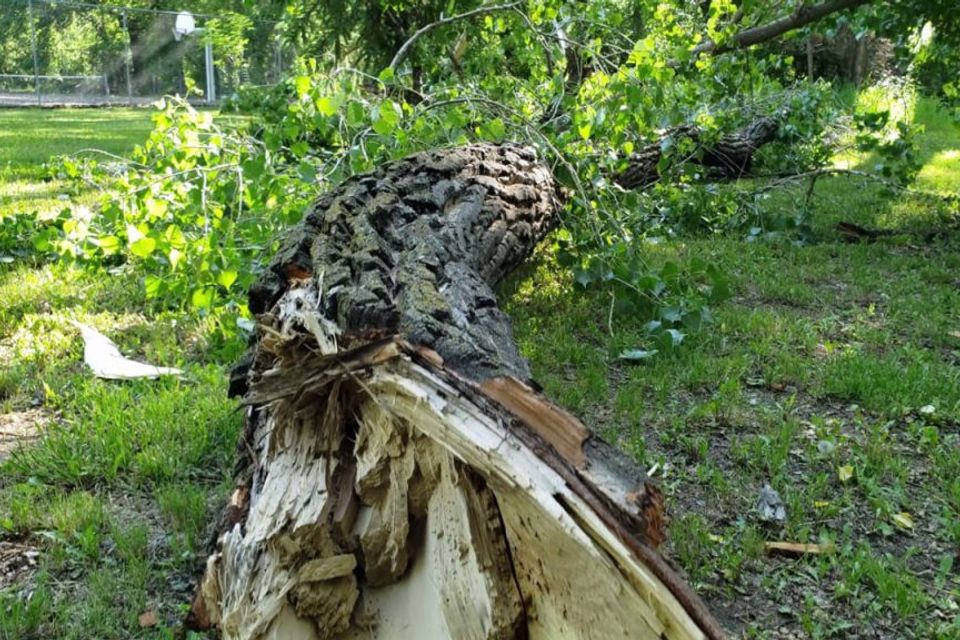 Photo 2024 05 13 22 55 57 1024x576