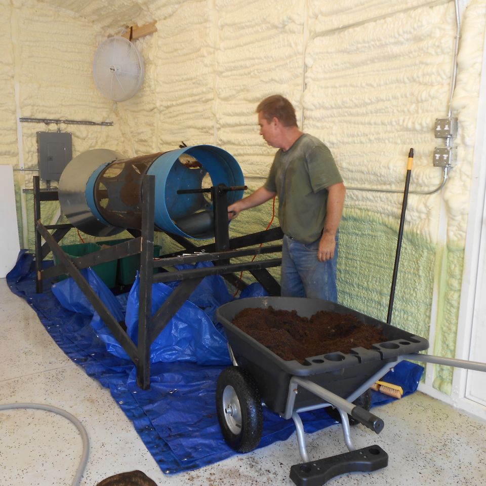 Sifting  poinsettia