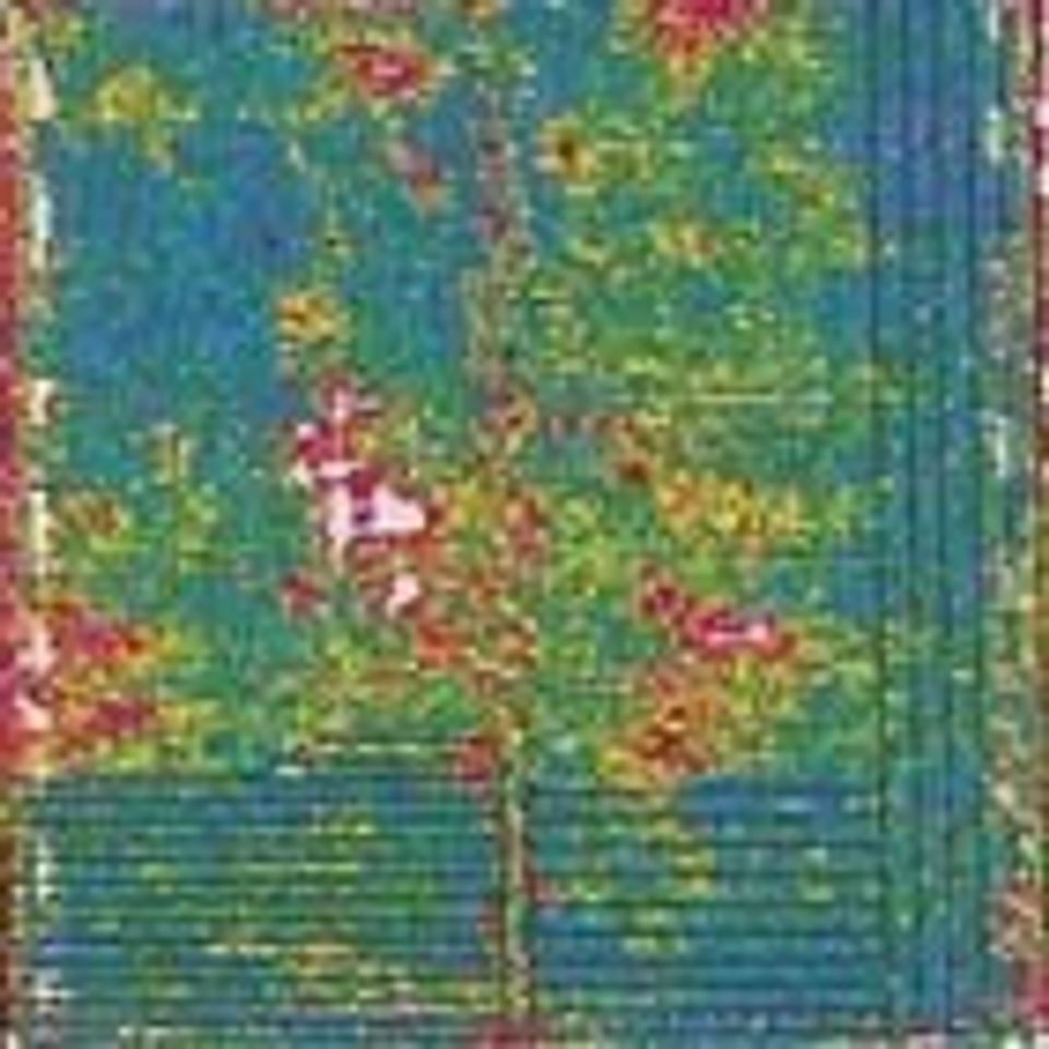 Gps 2005 4