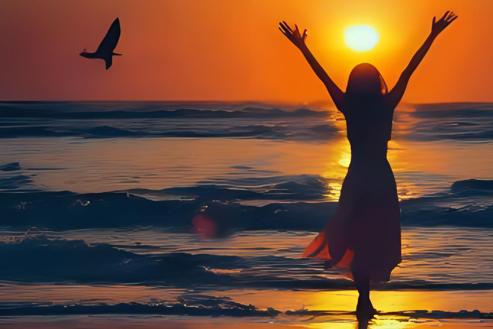 Velda's book cover options (12.462 x 9.25 in)