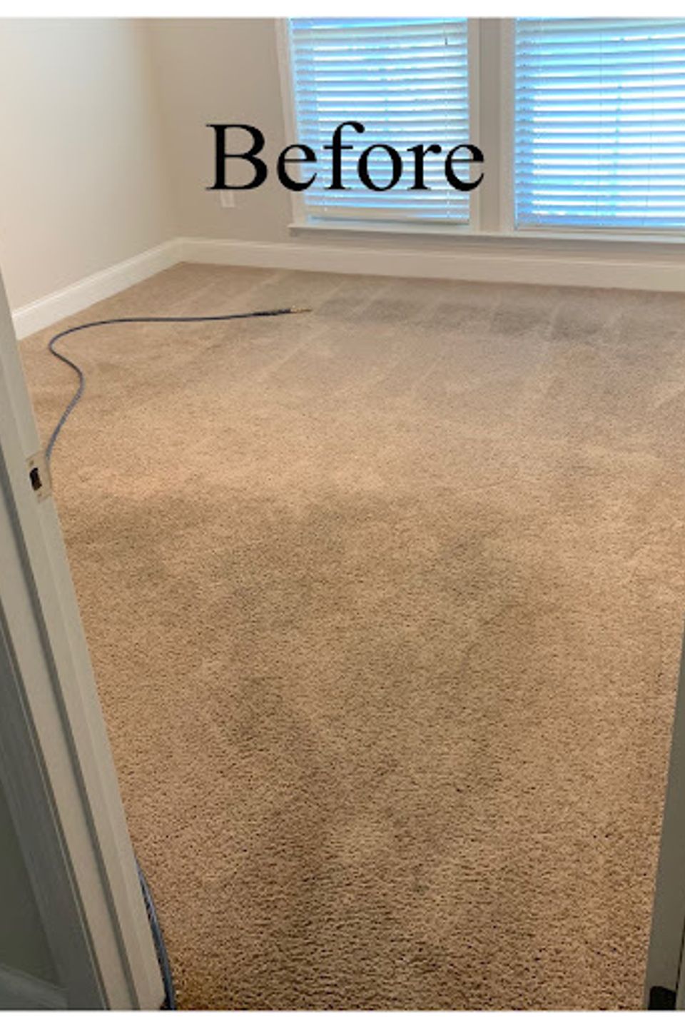 Carpet9