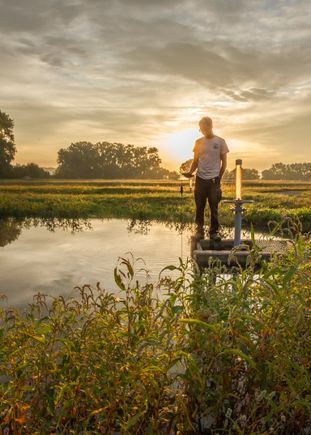 Sunrise pond work sept 2019