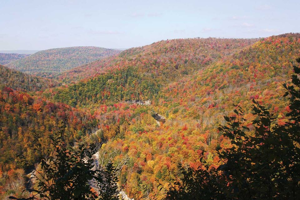 Loyalsock canyon vista   staff photo no credit needed