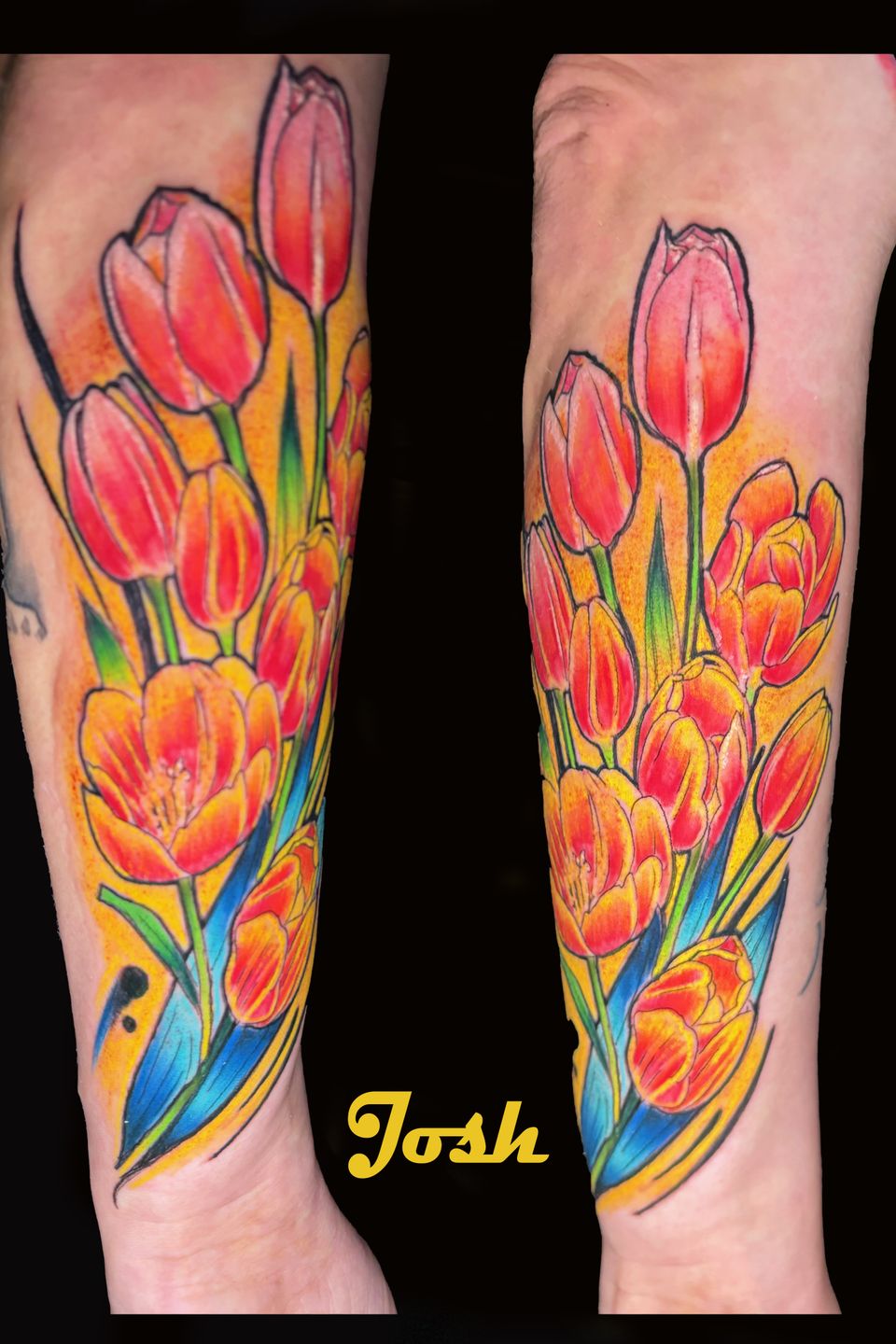 Josh tulips