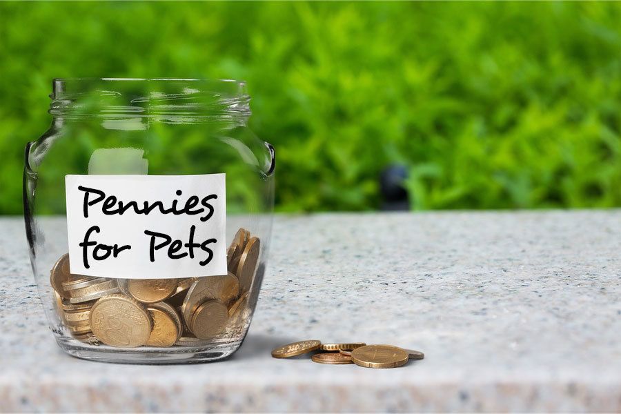 Pennies for pets