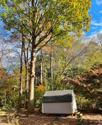 3TG LLC, Tree Removal near Clayton  NC, Tree Services near Clayton  NC, Tree Trimming, Tree Pruning, Stump Grinding