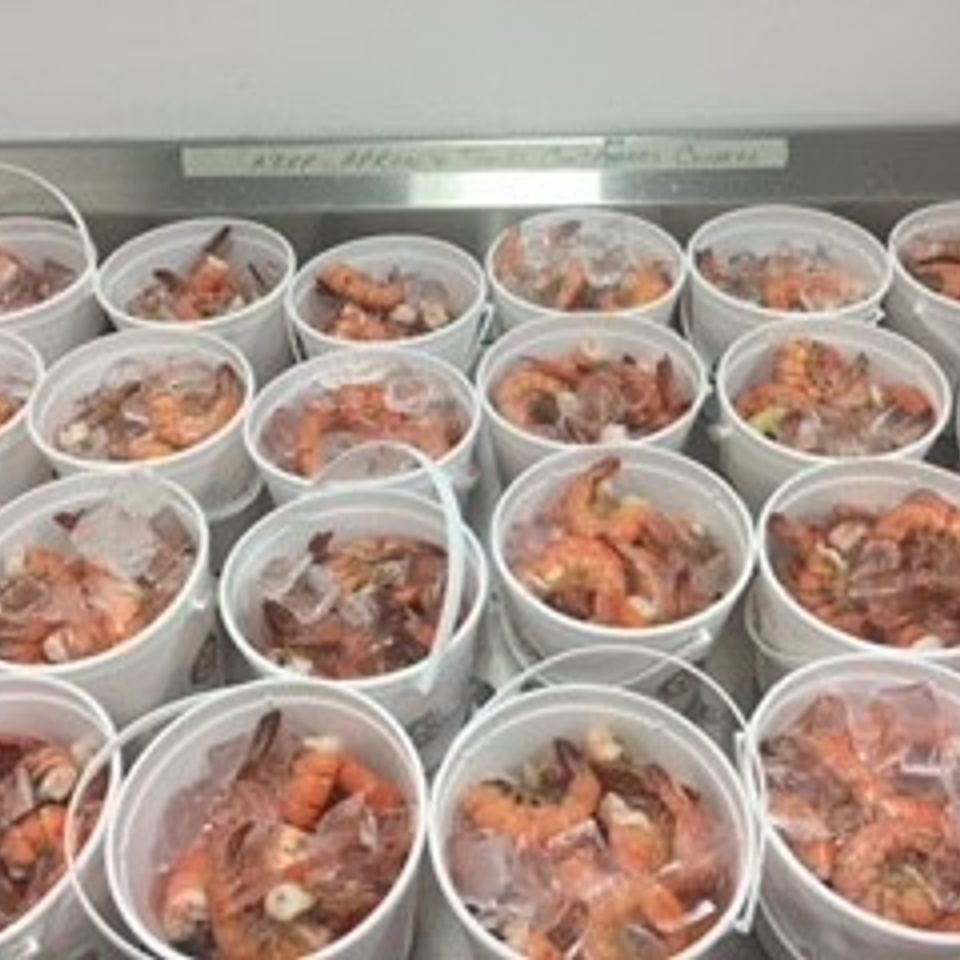 Shrimp1