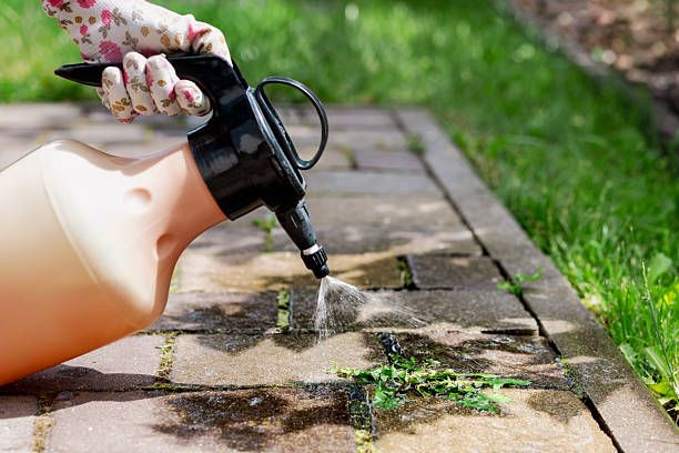 Istockphoto 2234434725 612x612