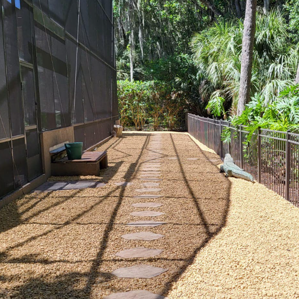 Screenshot 2025 10 20 081802