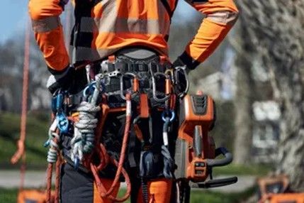 Arborist 1