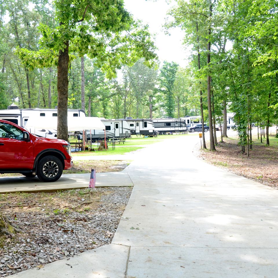 The forest at tims ford 22