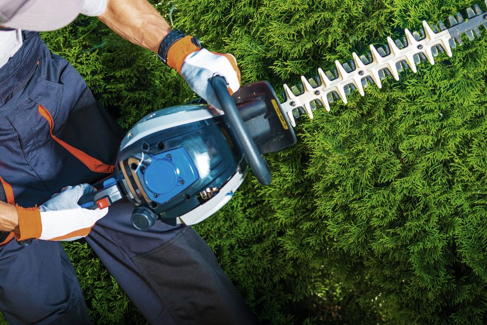 Landscaping trimming