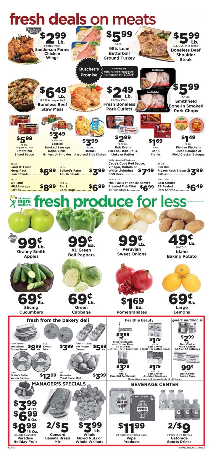 Napmg 5495 pg4 110925 k