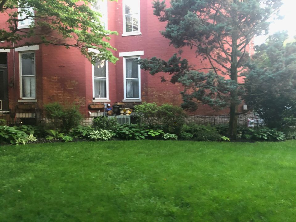 Img 7064