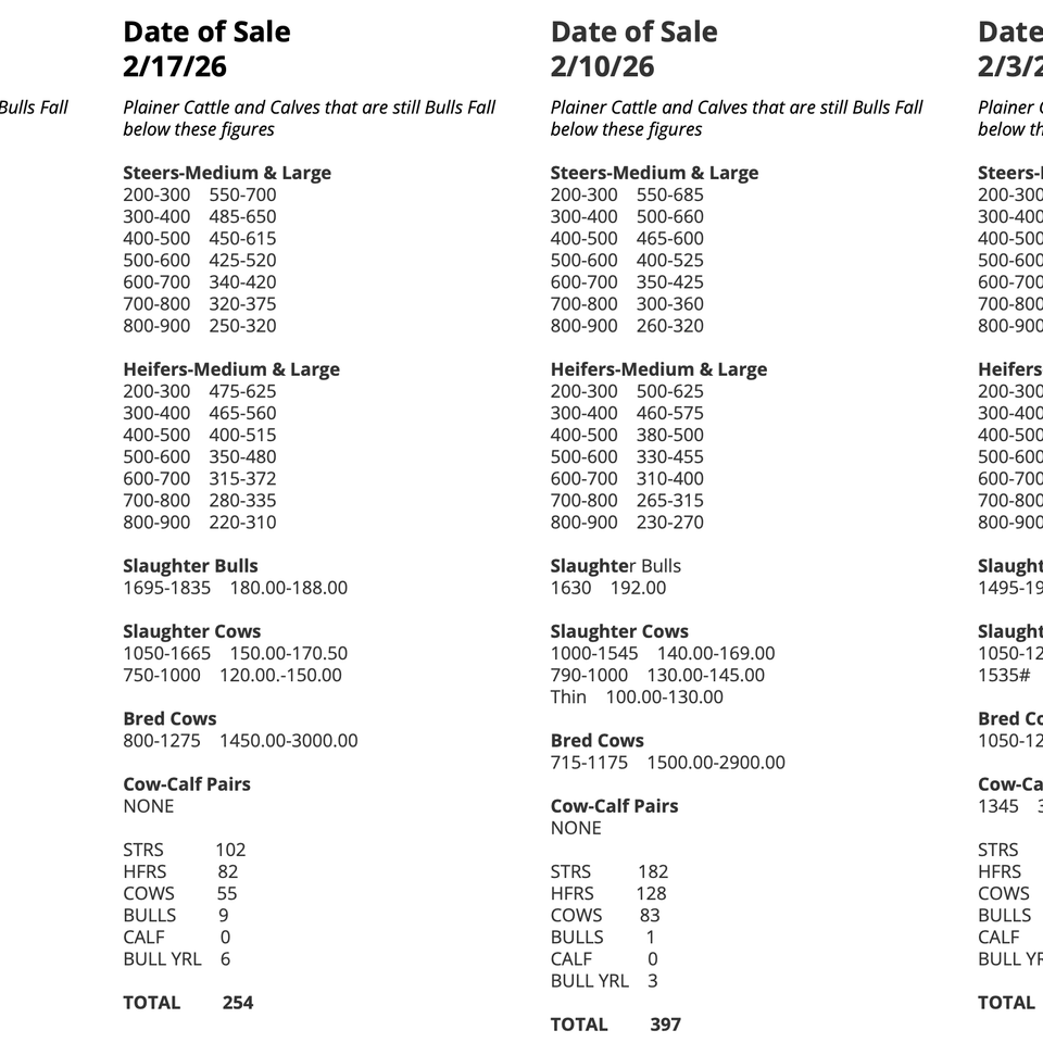 Screenshot 2026 03 03 at 2.12.52 pm