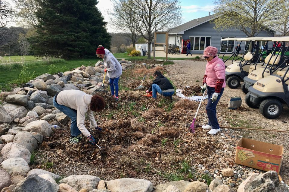 Raingarden