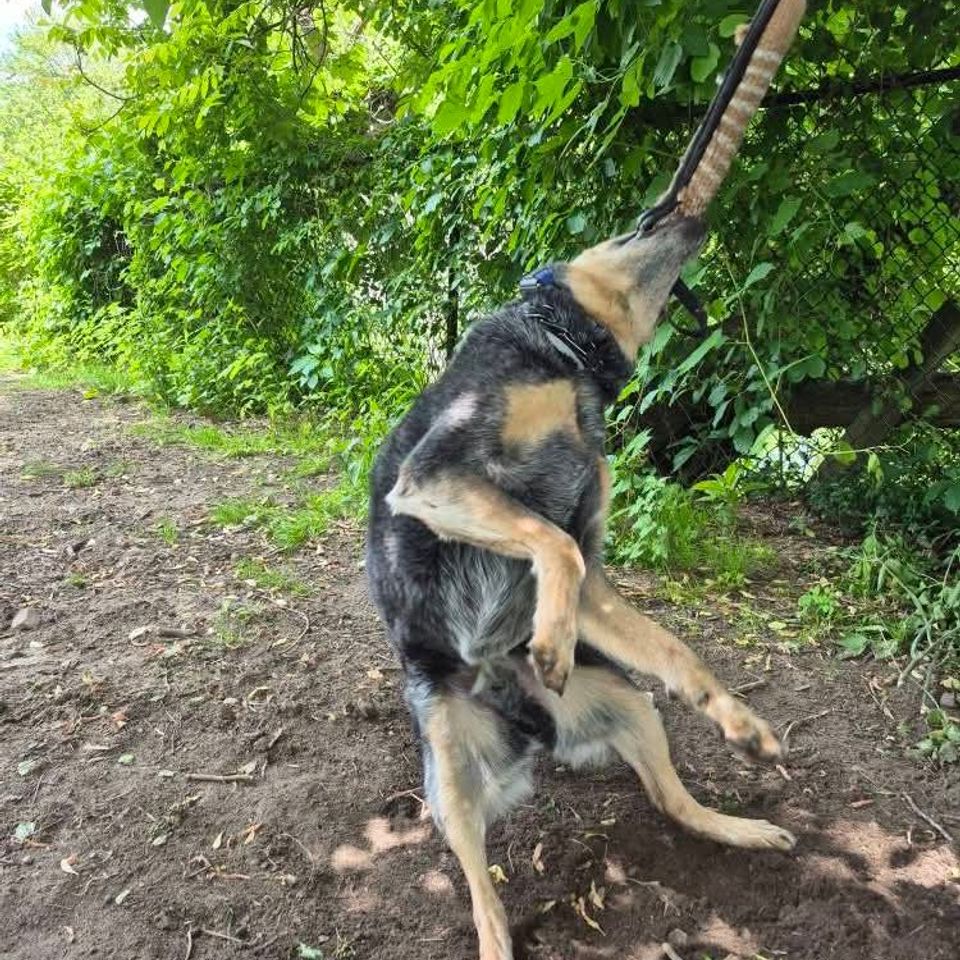 Fb img 1769435376837