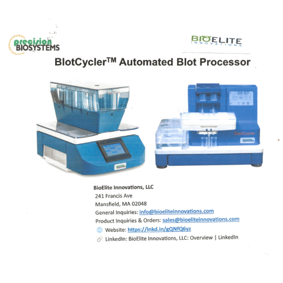 Download BlotCyclers 1 page Flyer