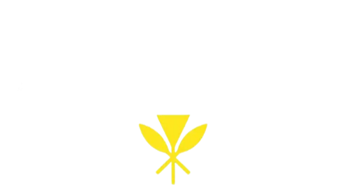 Law Office of Rosa Flores, LLLC