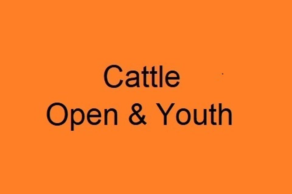 7a o cattle