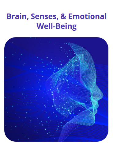 Screenshot 2026 02 22 174018