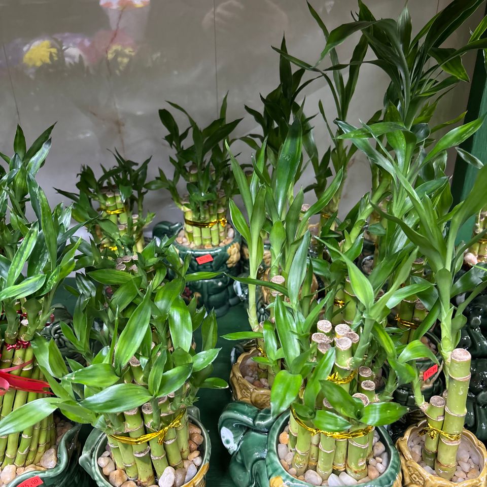 79832188944  0d7b5947 ca9d 4a1a 9fee 69a6d33764e3