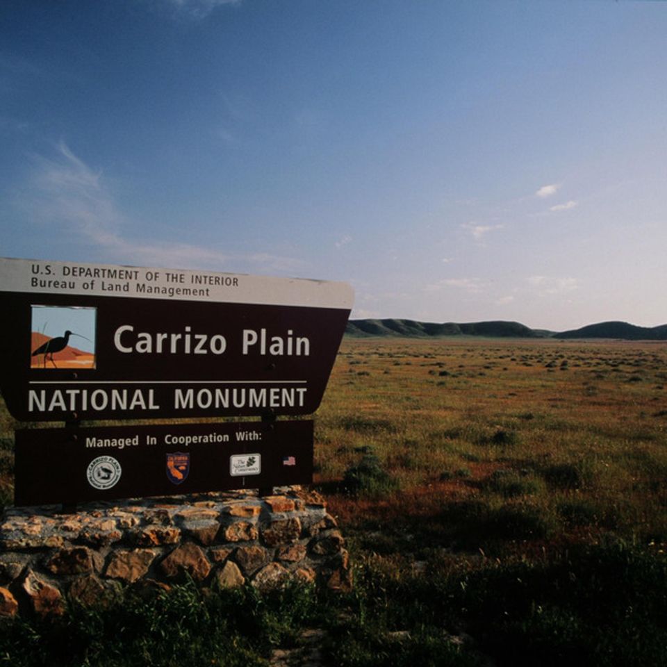 Chuckgraham carrizoplain img07220121211 21832 tr2zz4 0
