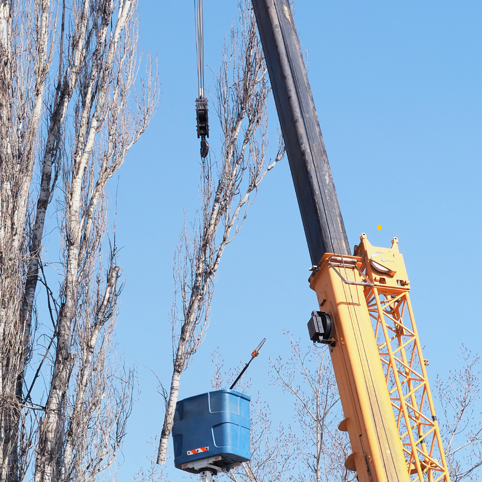 Crane assisted tree removal