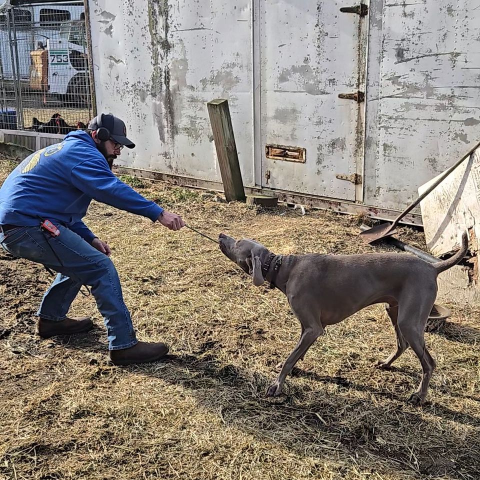 20260114 104703 exported 20053