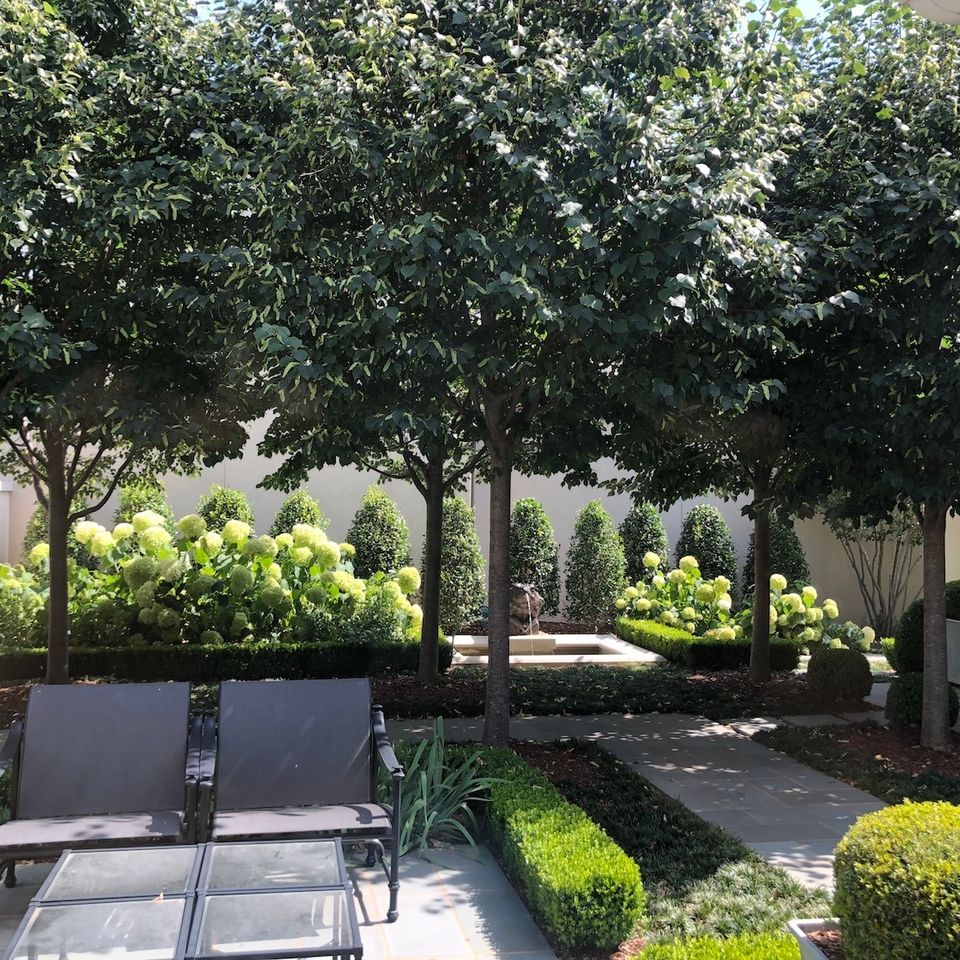 3d solutions general contractors   tulsa oklahoma   custom outdoor living space with concrete hardscapes beautiful landscaping and trees over walkway