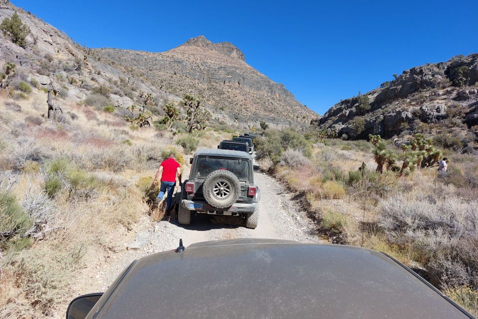 Mormon wells trail 3