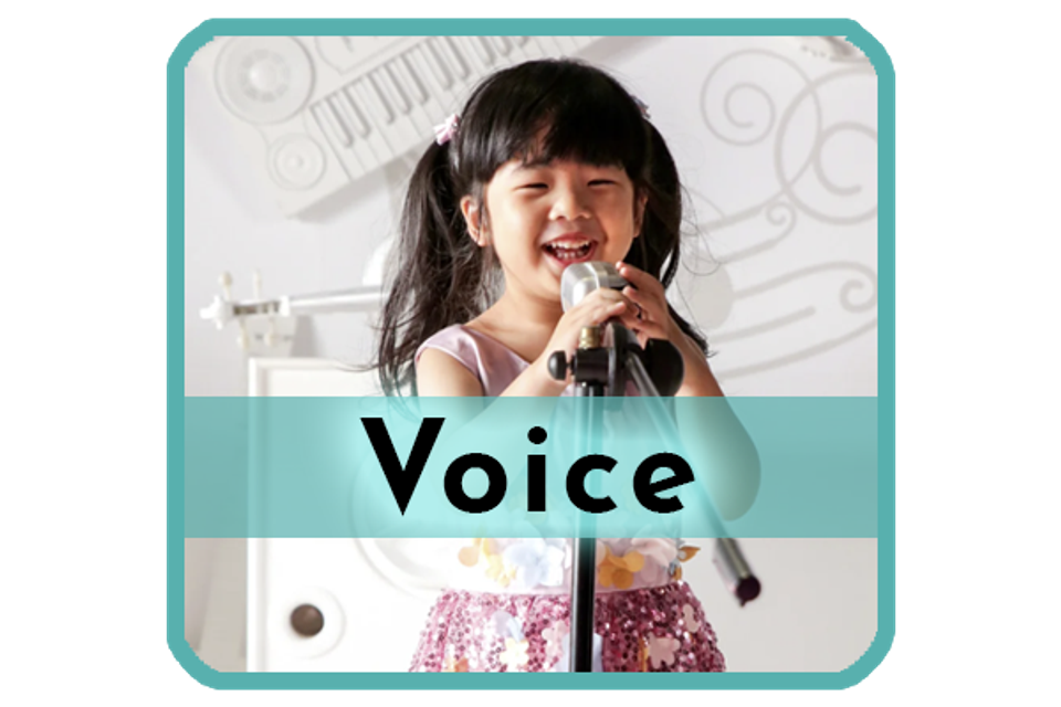 Voice2
