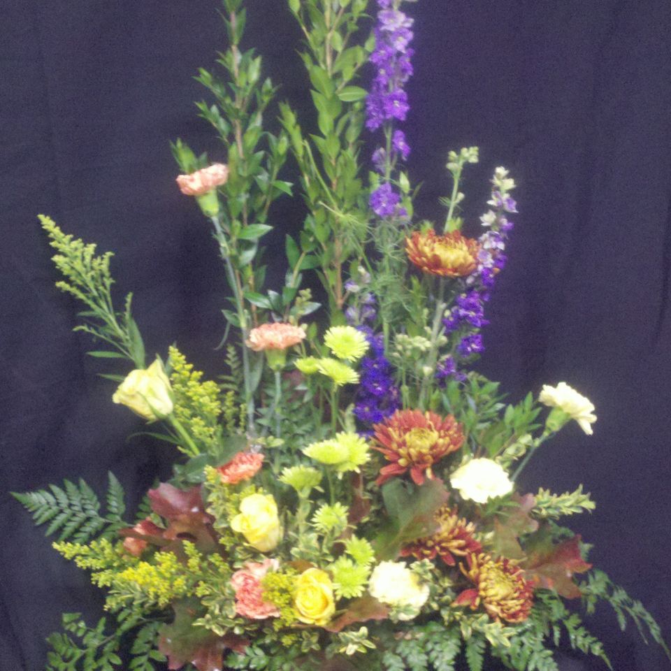 Sympathy 15820180617 12715 gftvvq