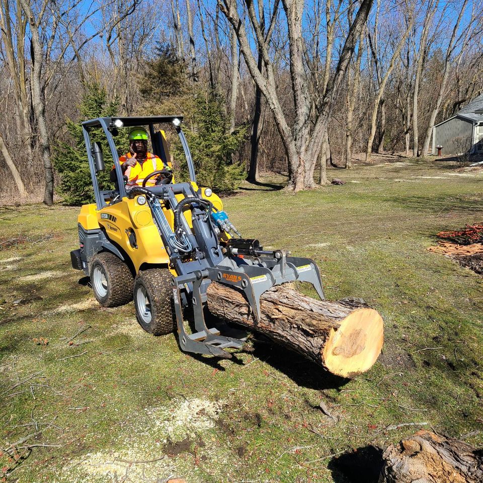 Bobby Tree Care Tree Removal
