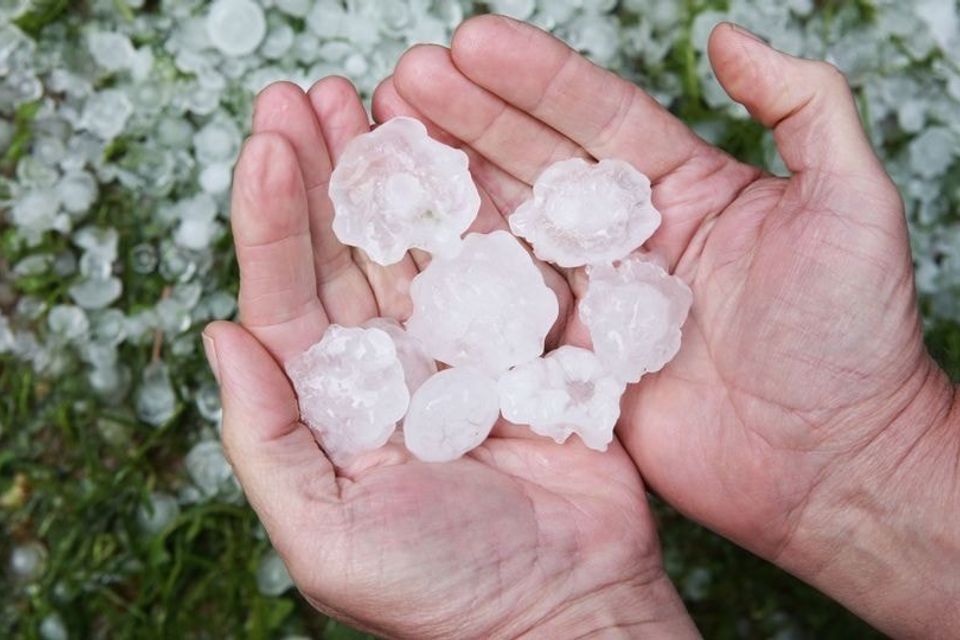 1921020a 3caa 477f 95c3 d3867ad5ca5c