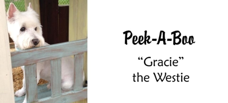 Games  peek20150621 16889 12z0u1l