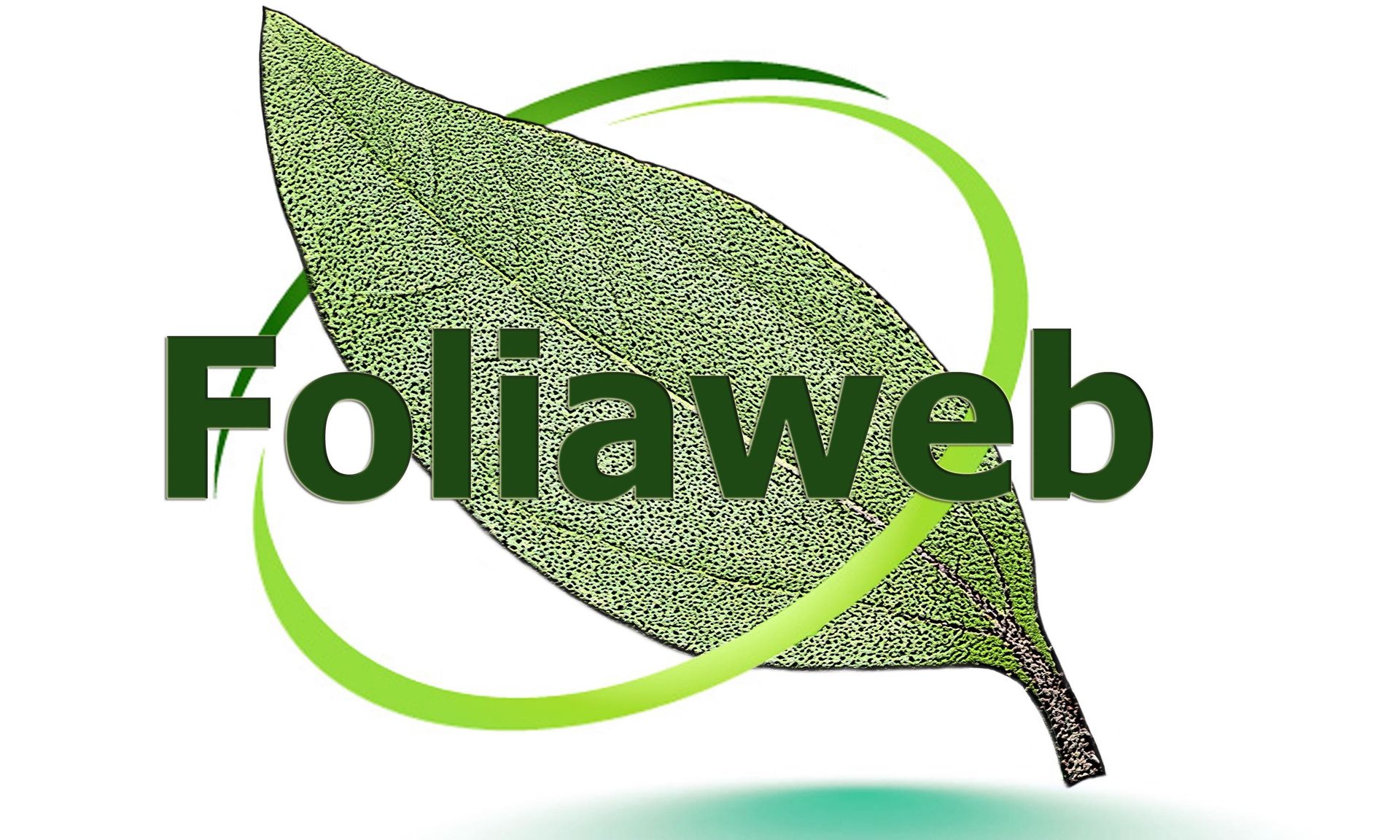 Foliaweb