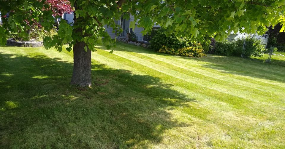 514512075 1153838413454970 1827248170929074044 n original