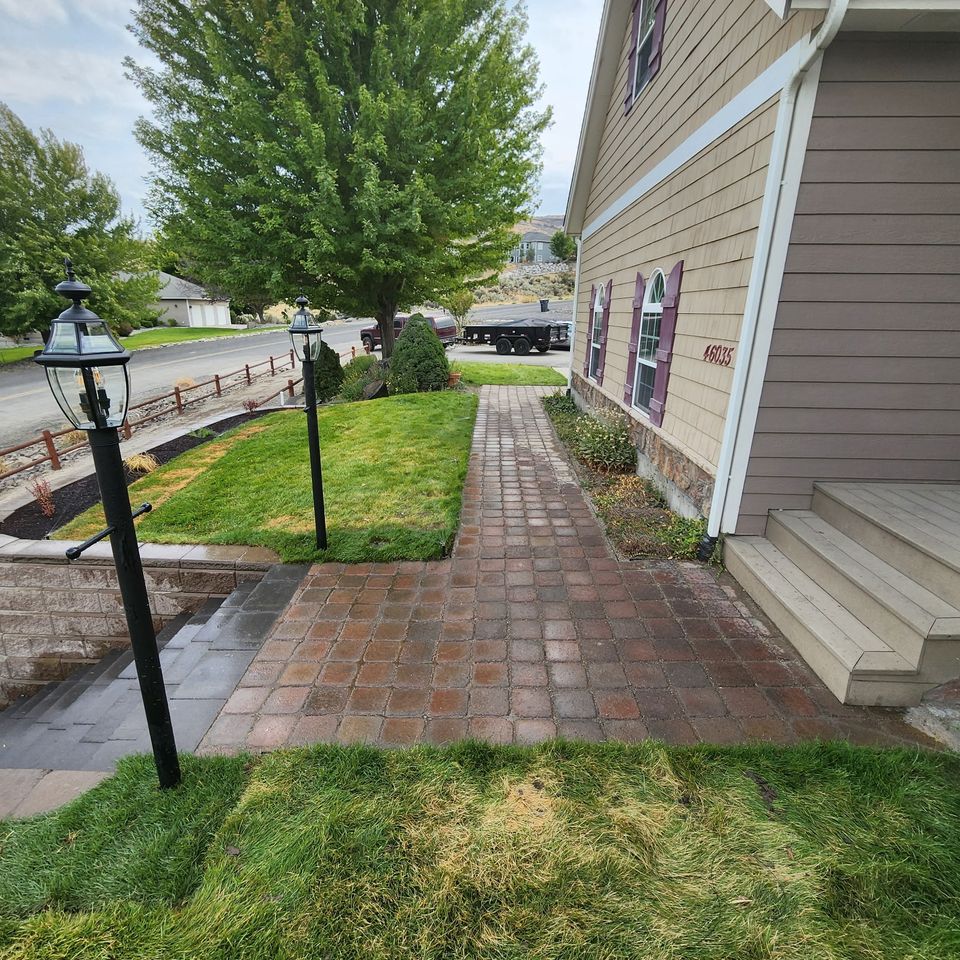 2319455533522986021 original