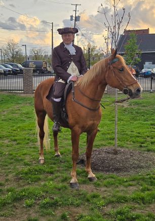 Paul revere (peter johnson) and his tennessee walker island girl