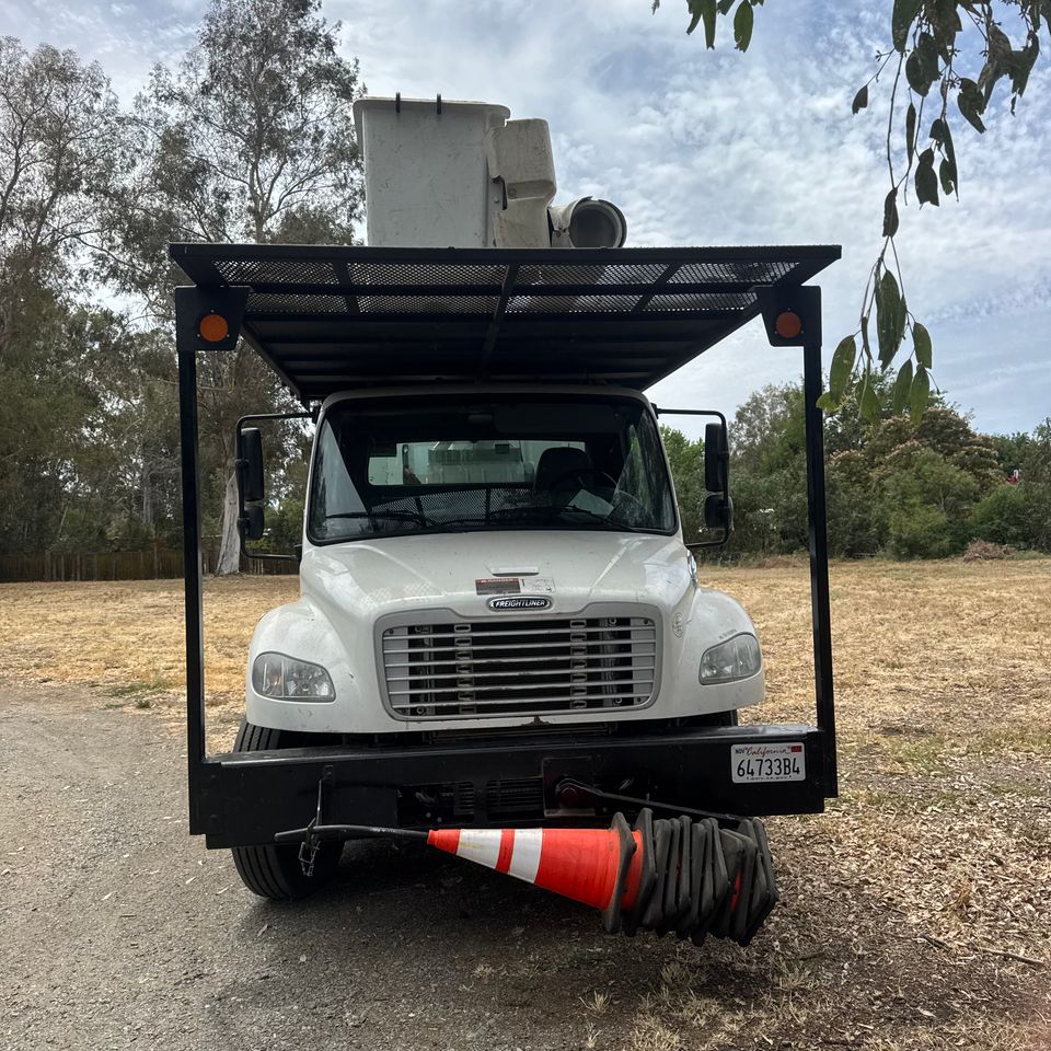 The Arbor Tree Service Company truck and heavy equipment parked on site in Woodland CA