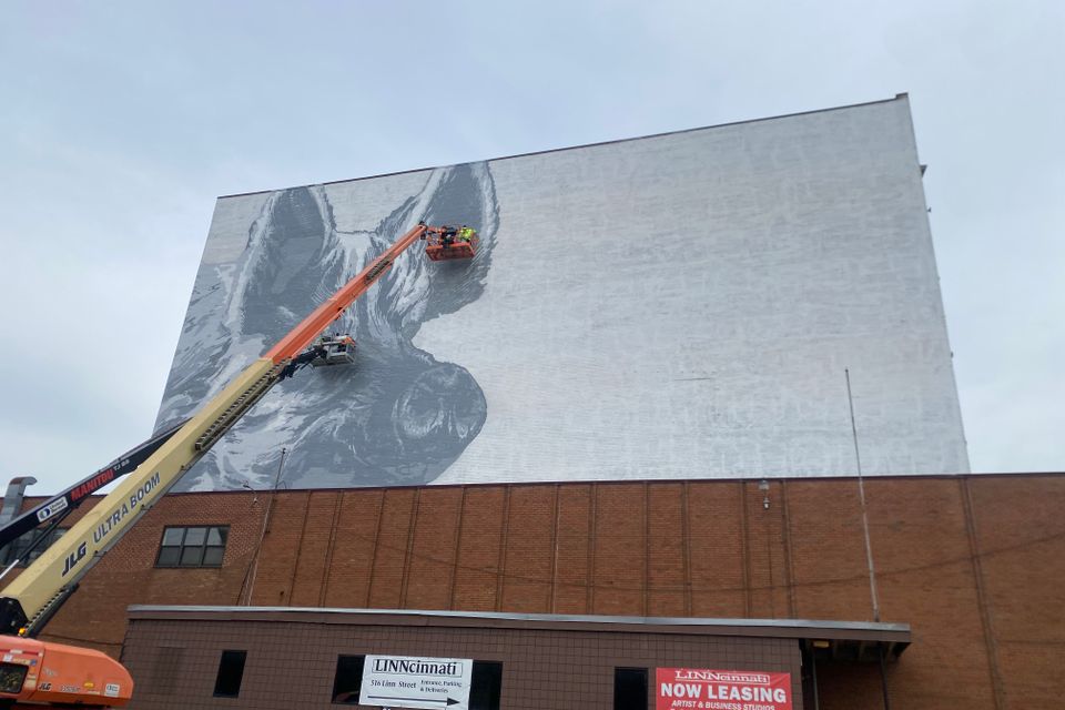 Ginger progress photo 9