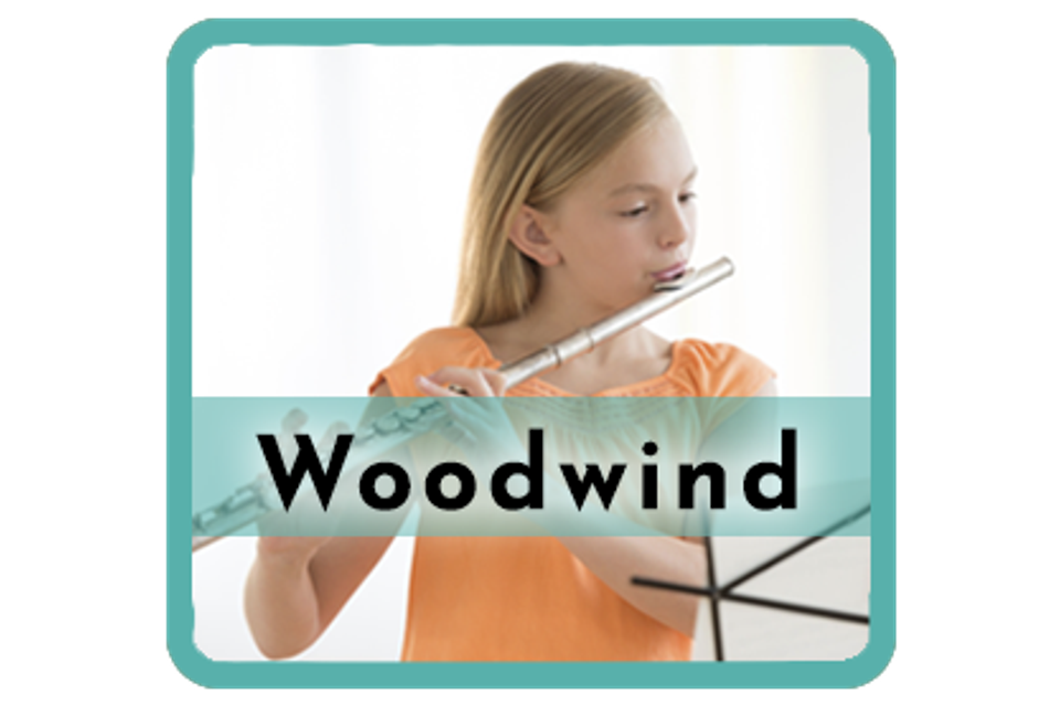Woodwindteal