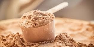 Protein powder