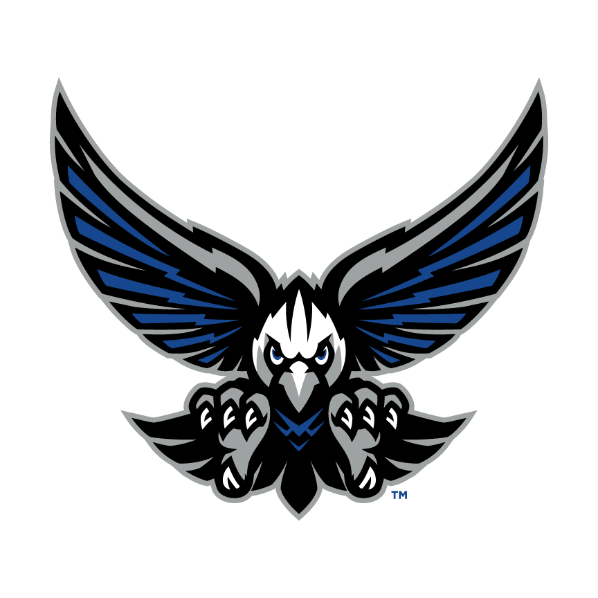 Southforsythhs mascot