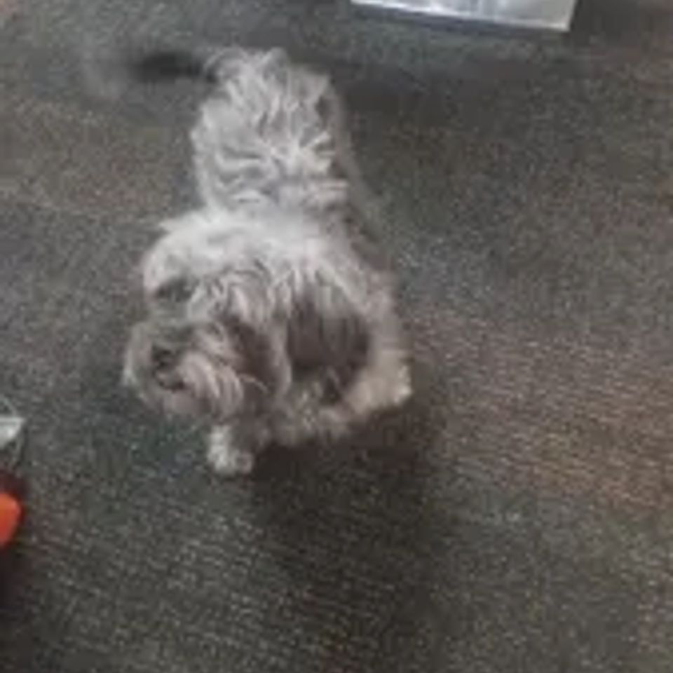 Max
