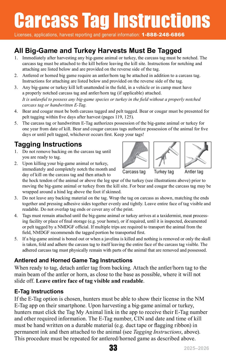 Hnt rib 2025 26 english online images 36