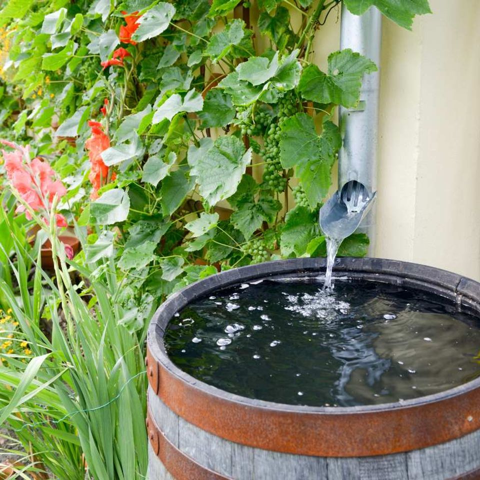 Rainwater collection harvesting system rain barrels tank homestead chill feature